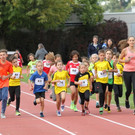 IMG_8969 Felix 800m.jpg