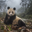 013_Ami Vitale_National Geographic.jpg