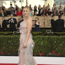 The_23rd_Annual_SAG_Awards_-_Arrivals_87449.jpg