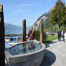 DSC_0995.JPG