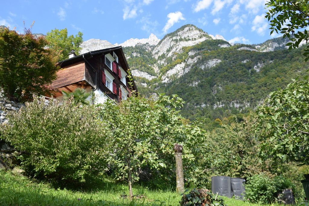DSC_1053.JPG