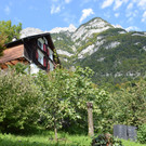 DSC_1053.JPG