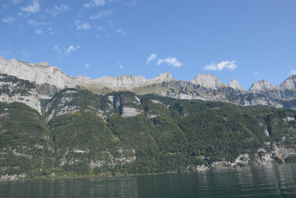 DSC_1007.JPG
