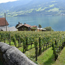 DSC_1040.JPG