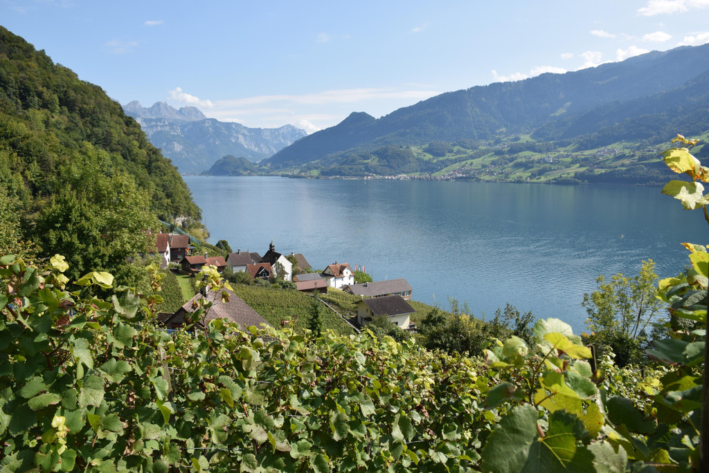 DSC_1046.JPG