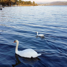20170927_174426.jpg