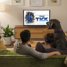 Amazon Fire TV_ Living Room.jpg