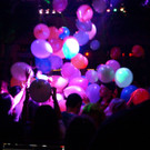 7_DSC08098.JPG