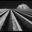 515_Loacker_Armin_507023_SW4_Ackerbau.jpg