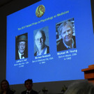 Sweden_Nobel_Medicine_40514.jpg