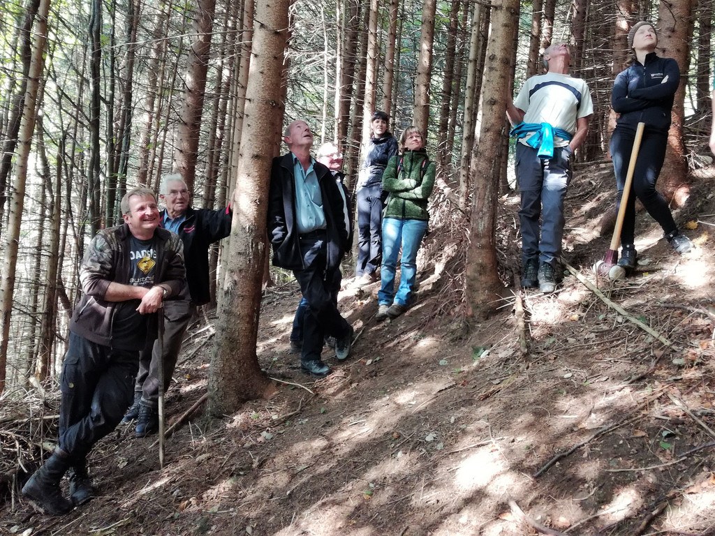 waldbegehung1.jpg