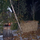 661533.jpg