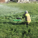 freiwillige-feuerwehr-piesendorf-zi-59d5fad109bee.jpg