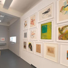 ABD0057-20171005.jpg