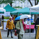 20171006_FMT_Sturm_Markt_im_Herbst_KJ_002.JPG
