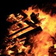 IMG_8559_thumbnail.JPG