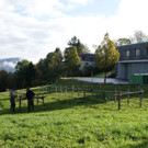 Bucher Viehzüchter laden zur Ausstellung (14.10.2017)