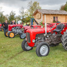 20171007_fmt_1_lieferinger_oktoberfest_mw-9.jpg