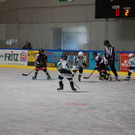 DSC_0063_JPG-1507447296.jpg