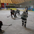 DSC_0071_JPG-1507447326.jpg