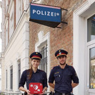 p50810-foto.jpg