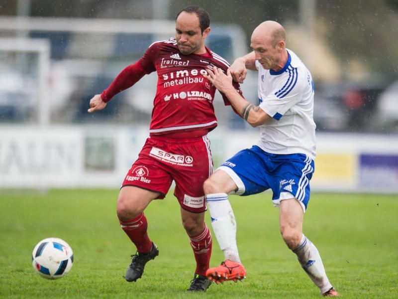 file6x0ze2upvyecolploa5.jpg