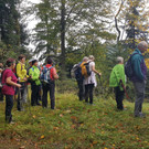 Wolfurt-Buch-Bildstein Wanderung