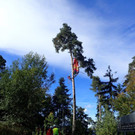 PA070253.jpg