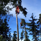PA070263.jpg