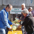 Kraut einhobeln mit dem OGV Hard