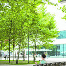 Cover_Y2A9322.jpg