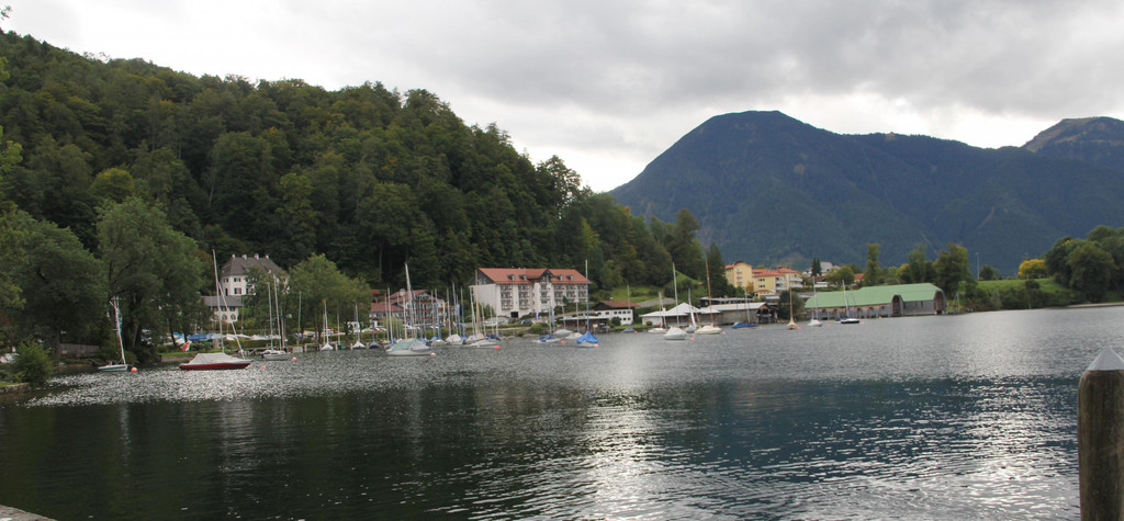IMG_9731.JPG