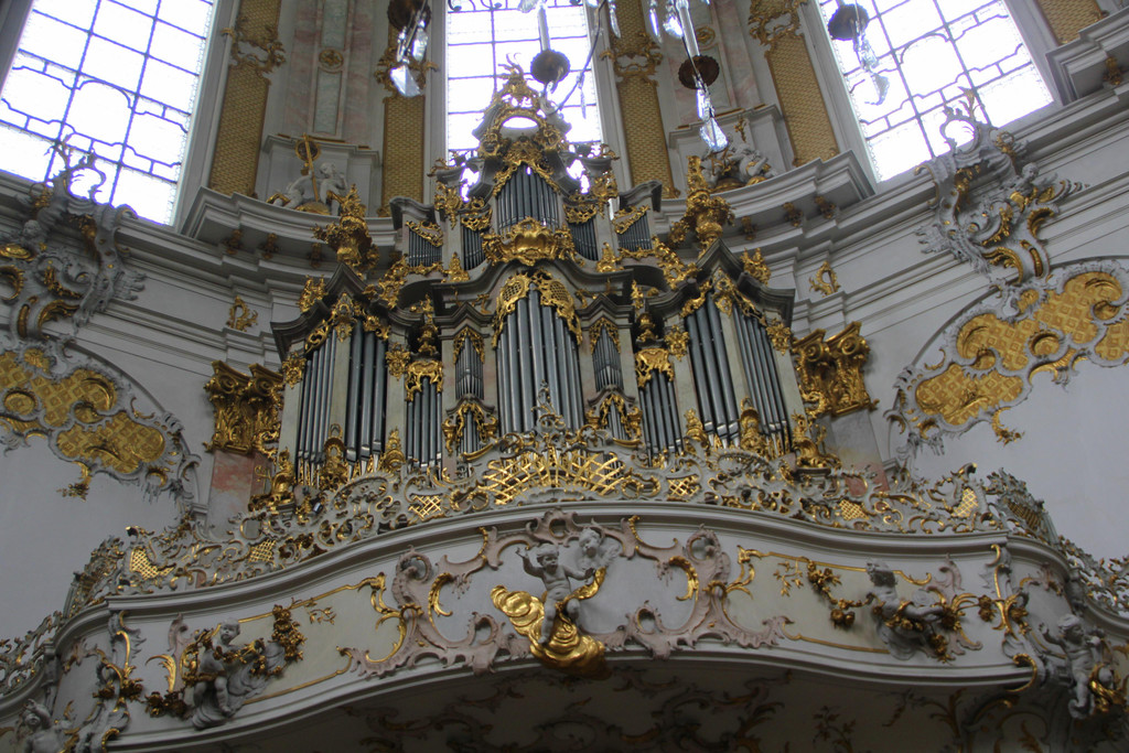 IMG_9782.JPG