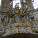 IMG_9782.JPG