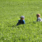 IMG_1785.JPG