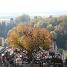 Herbstfeature20171014008.jpg