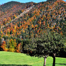 Meldungsliste_5__4.jpg