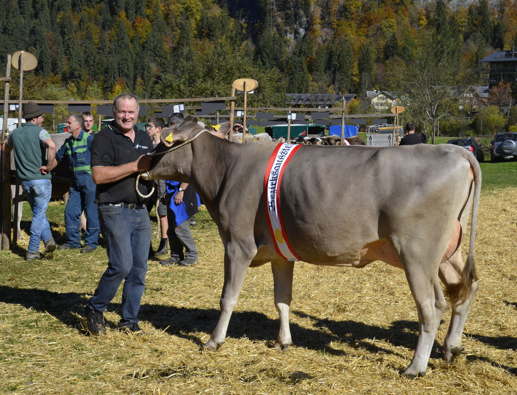 _DSC8563_1_.jpg