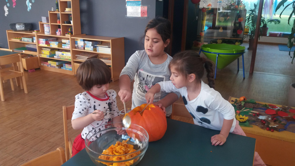 20171011_085823.jpg