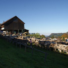 DSC00711.JPG