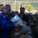 DSC00720.JPG