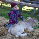 DSC00735.JPG