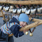 DSC00736.JPG