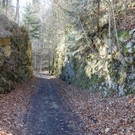 DSC_0458.jpg
