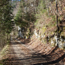 DSC_0470.jpg
