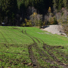 Absturz Landwirtschaftliches Fagrzeug in Gro__arl  19_10_2017  Pressefotopongau MW _4_.JPG