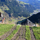 Absturz Landwirtschaftliches Fagrzeug in Gro__arl  19_10_2017  Pressefotopongau MW _5_.JPG