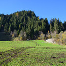 Absturz Landwirtschaftliches Fagrzeug in Gro__arl  19_10_2017  Pressefotopongau MW _7_.JPG