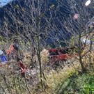 Absturz Landwirtschaftliches Fagrzeug in Gro__arl  19_10_2017  Pressefotopongau MW _9_.JPG