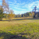 P1000596.jpg
